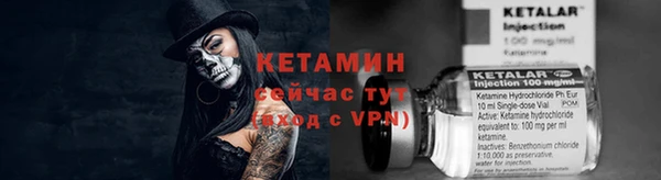 индика Ельня