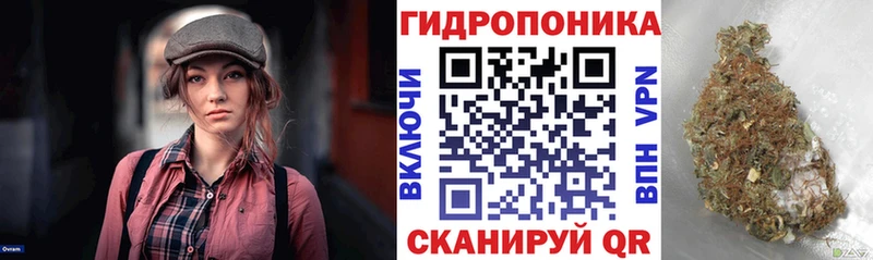 mega как зайти  Калач  darknet наркотические препараты  цены наркотик  Марихуана Ganja 